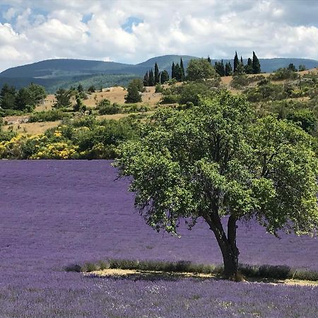 Oustau Du Ventoux Bed & Breakfast Bédoin Dış mekan fotoğraf