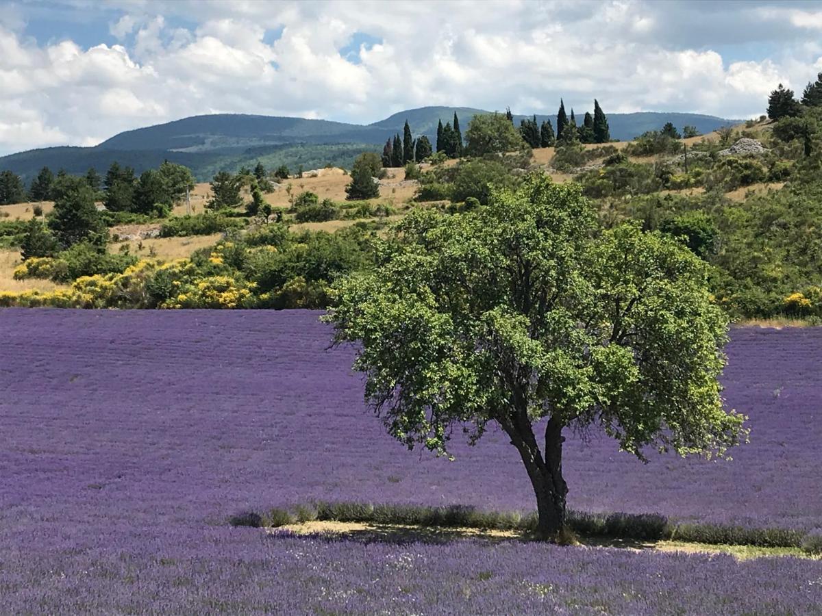Oustau Du Ventoux Bed & Breakfast Bédoin Dış mekan fotoğraf